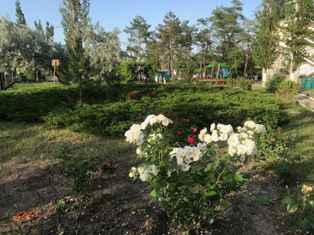 База Отдыха Наука Коблево Koblevo Dış mekan fotoğraf